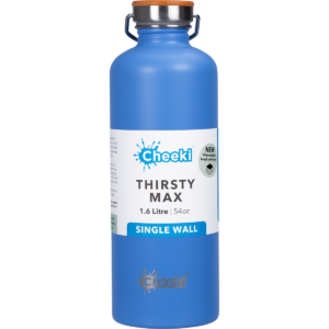 Stainless Steel Bottle Azure 'Thirsty Max' (1.6L)
