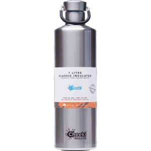 Stainless Steel Bottle Insulated Silver (1L)
