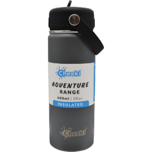 Stainless Steel Bottle Adventure Insulated Slate (600ml)