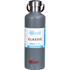 Stainless Steel Bottle Insulated Slate (600ml)